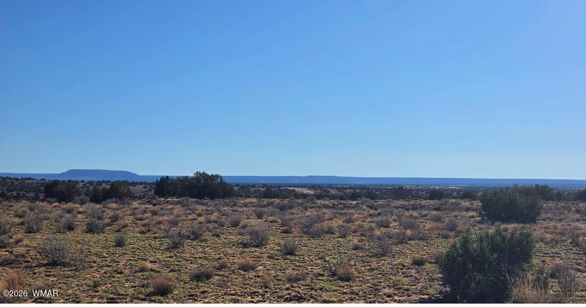 Lot 632 Lazy S Ranch Road Concho, AZ 85924 - Photo 26 of 27 a view of a dry yard with trees
