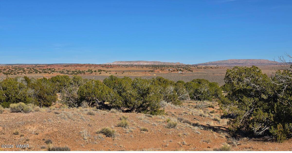Lot 632 Lazy S Ranch Road Concho, AZ 85924 - Photo 27 of 27 a view of a dry yard