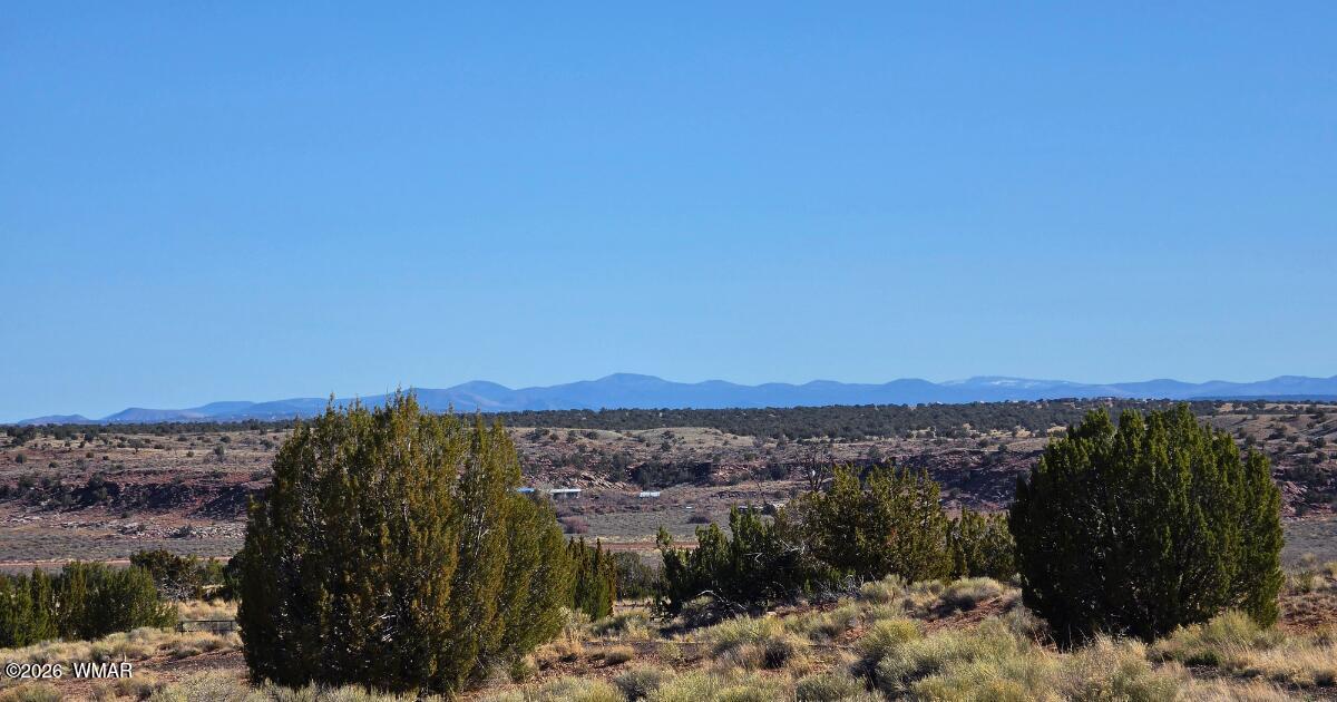Lot 632 Lazy S Ranch Road Concho, AZ 85924 - Photo 3 of 27 a view of a sky from a city