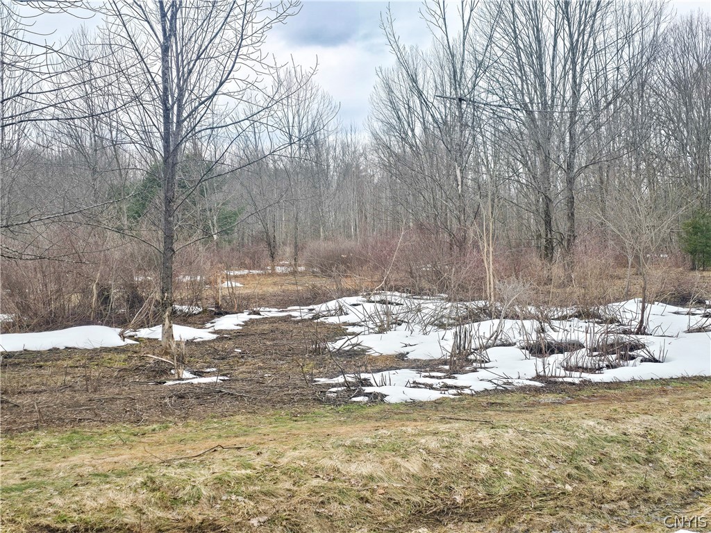 0 Depot Road Cleveland, NY 13042 - Photo 7 of 9