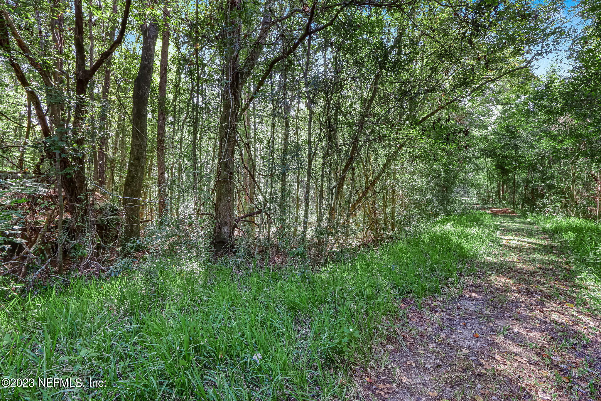 10977 Crystal Springs Road Jacksonville, FL 32221 - Photo 11 of 19 8-web-or-mls-11097 Crystal Springs Road-