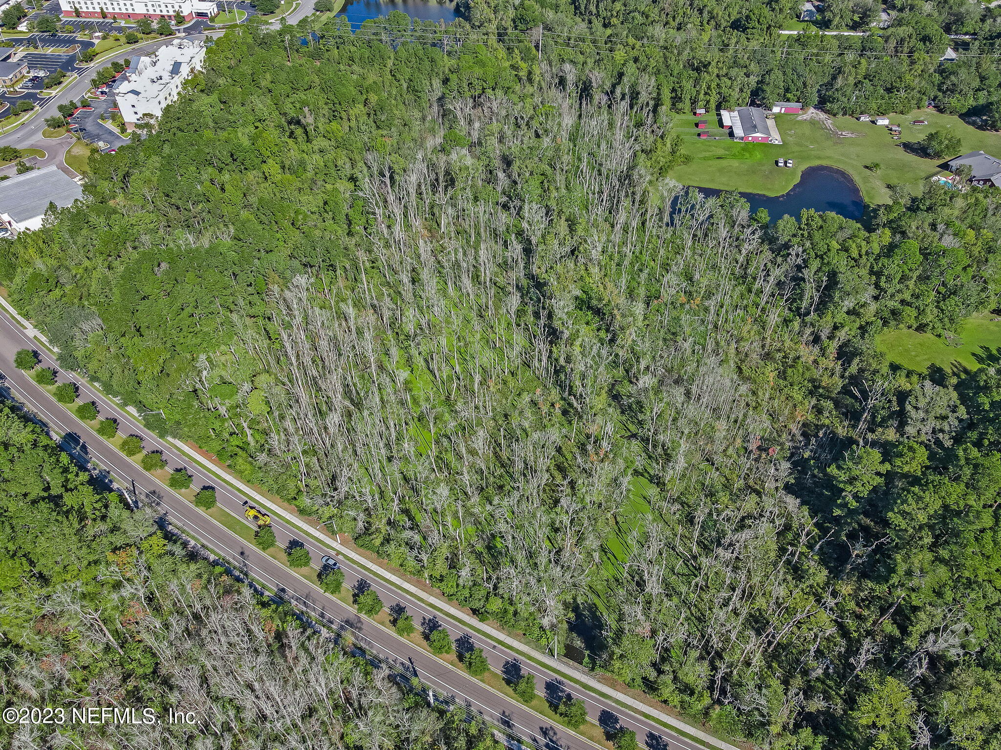 10977 Crystal Springs Road Jacksonville, FL 32221 - Photo 16 of 19 14-web-or-mls-11097 Crystal Springs Road