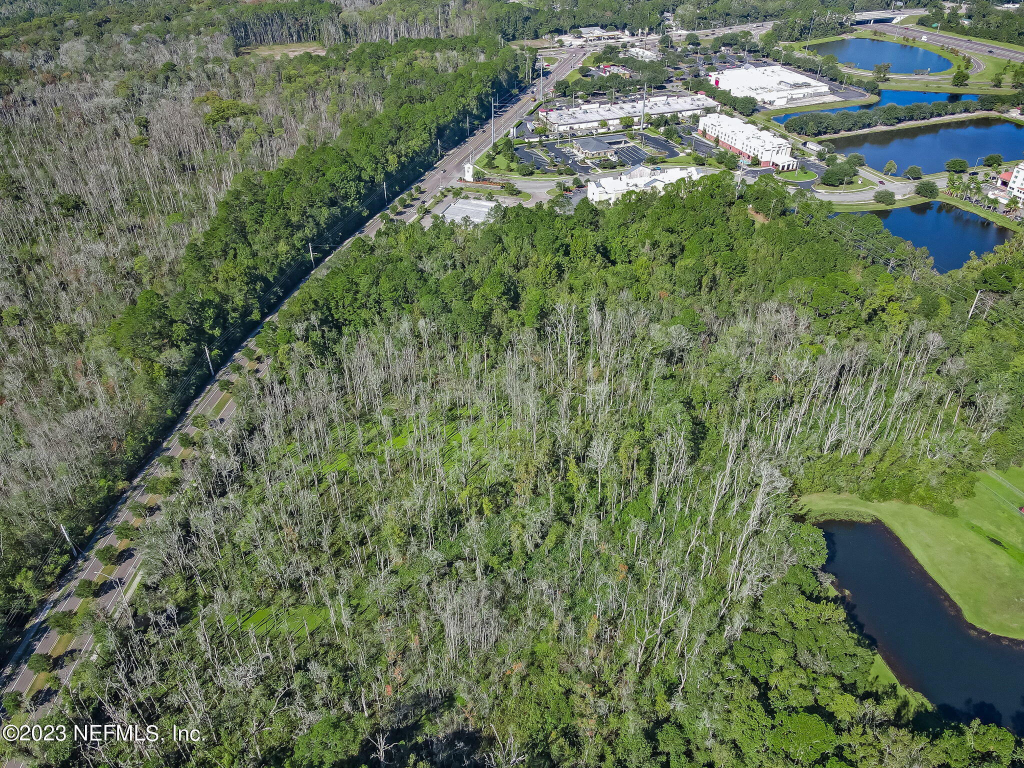 10977 Crystal Springs Road Jacksonville, FL 32221 - Photo 17 of 19 15-web-or-mls-11097 Crystal Springs Road
