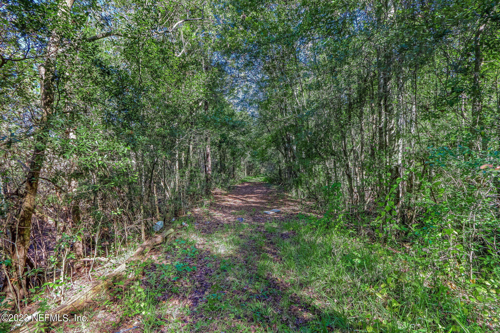 10977 Crystal Springs Road Jacksonville, FL 32221 - Photo 3 of 19 1-web-or-mls-11097 Crystal Springs Road-