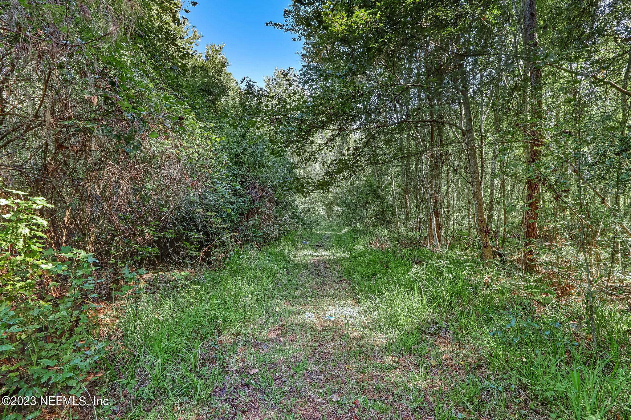 10977 Crystal Springs Road Jacksonville, FL 32221 - Photo 4 of 19 3-web-or-mls-11097 Crystal Springs Road-