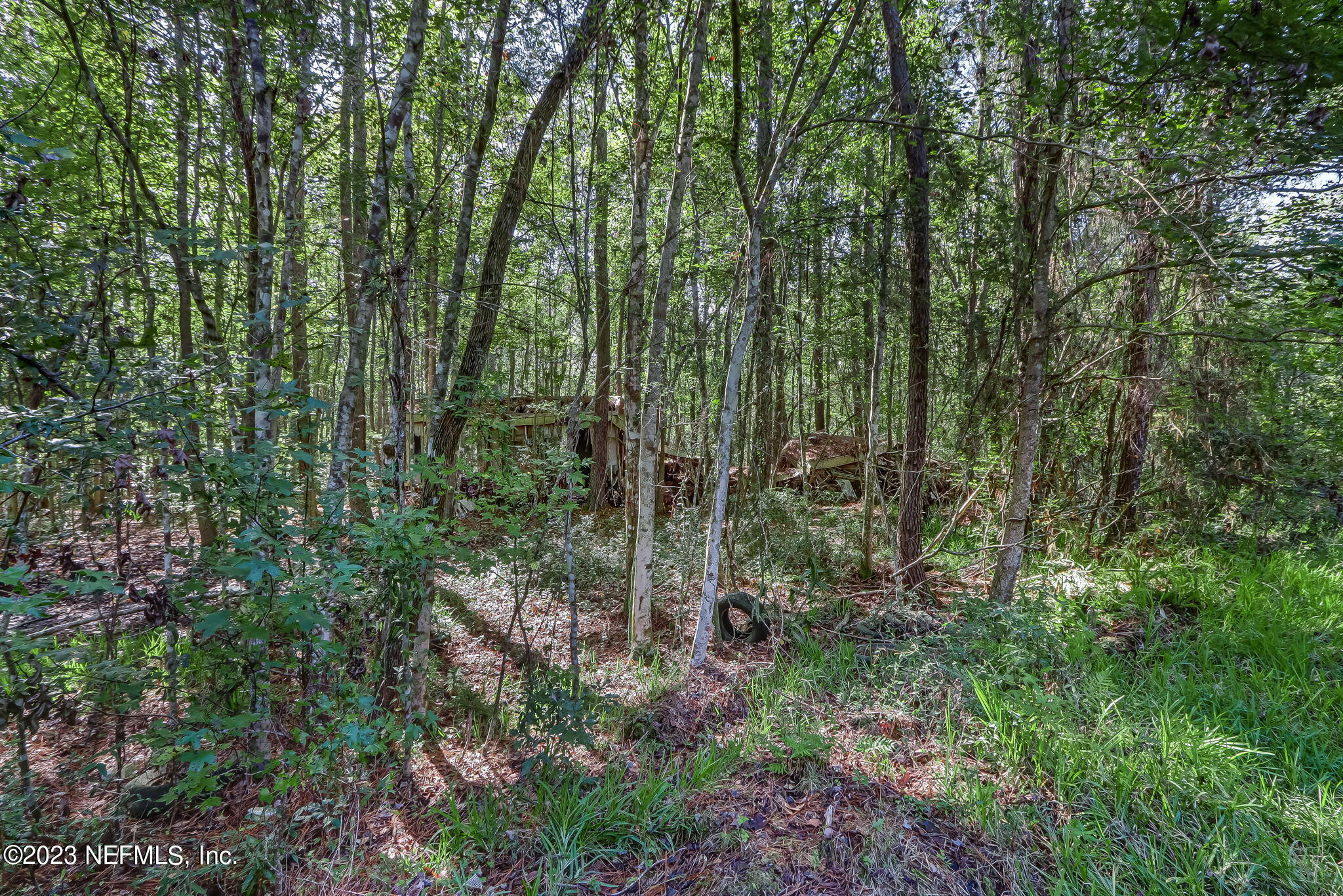 10977 Crystal Springs Road Jacksonville, FL 32221 - Photo 5 of 19 4-web-or-mls-11097 Crystal Springs Road-