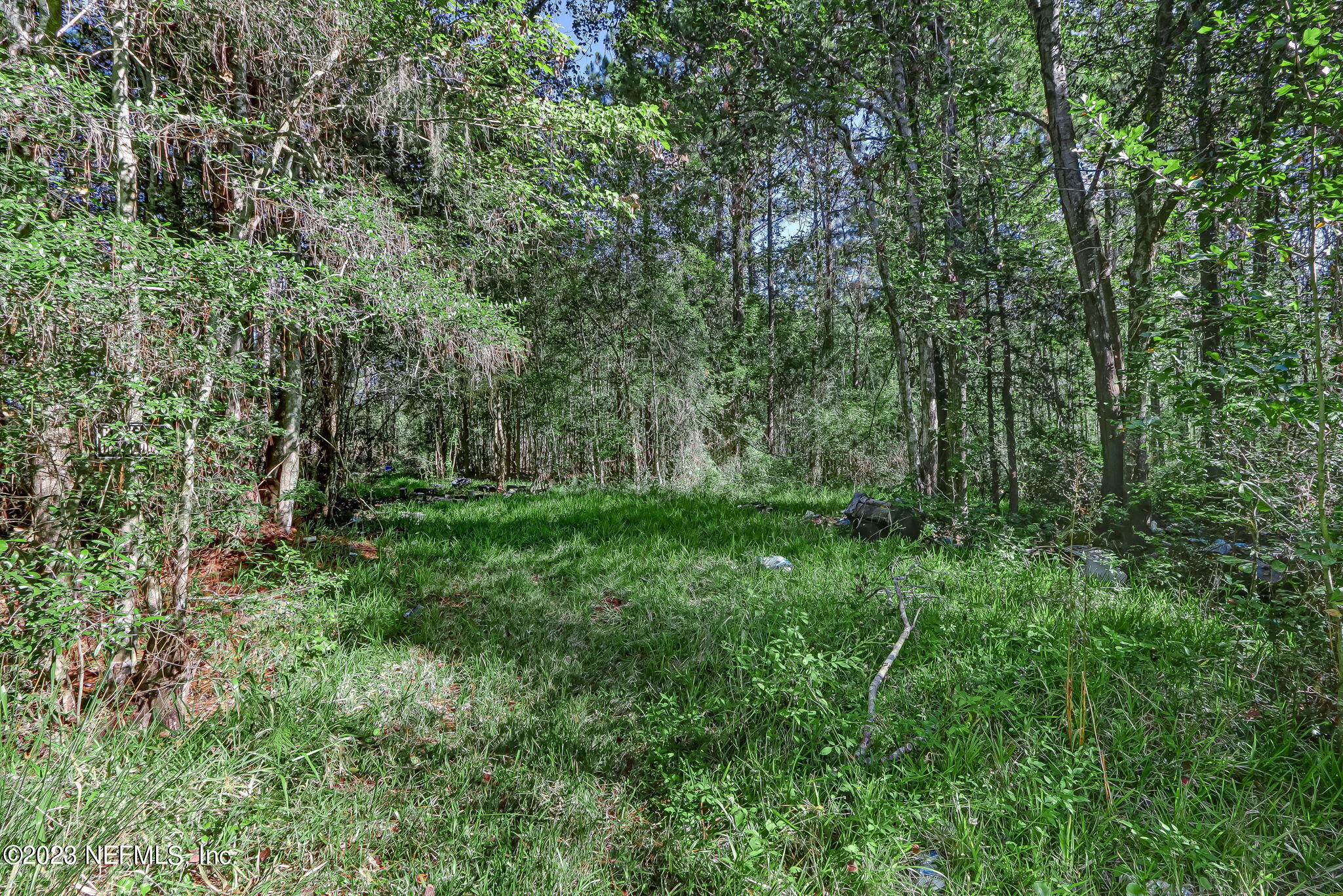 10977 Crystal Springs Road Jacksonville, FL 32221 - Photo 6 of 19 5-web-or-mls-11097 Crystal Springs Road-