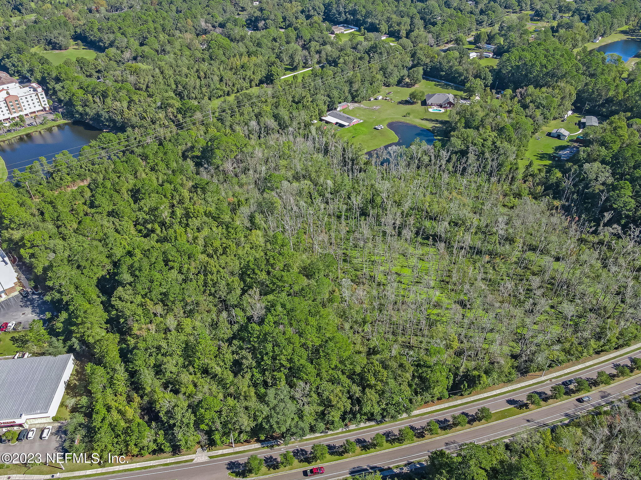 10977 Crystal Springs Road Jacksonville, FL 32221 - Photo 7 of 19 12-web-or-mls-11097 Crystal Springs Road