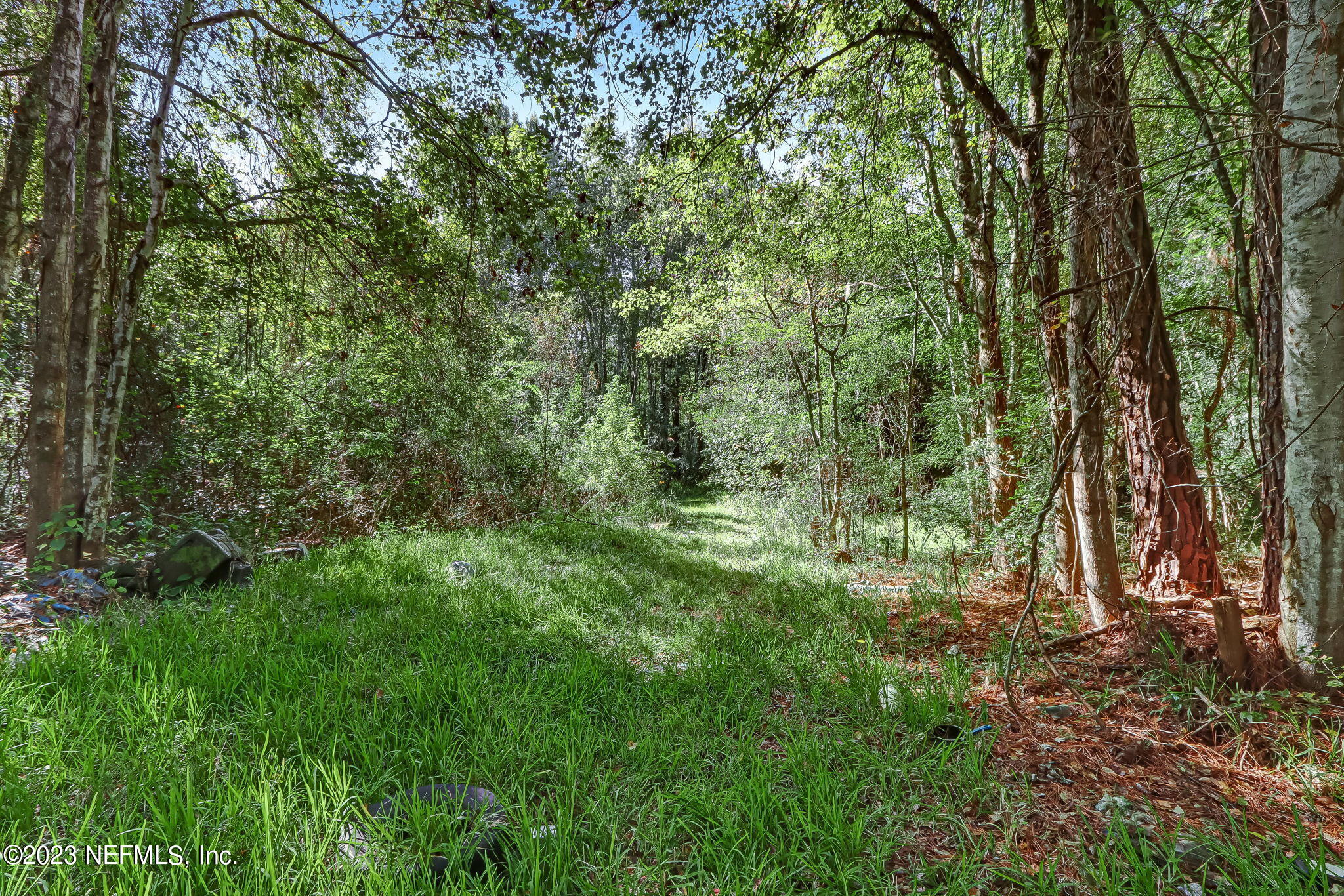 10977 Crystal Springs Road Jacksonville, FL 32221 - Photo 9 of 19 6-web-or-mls-11097 Crystal Springs Road-