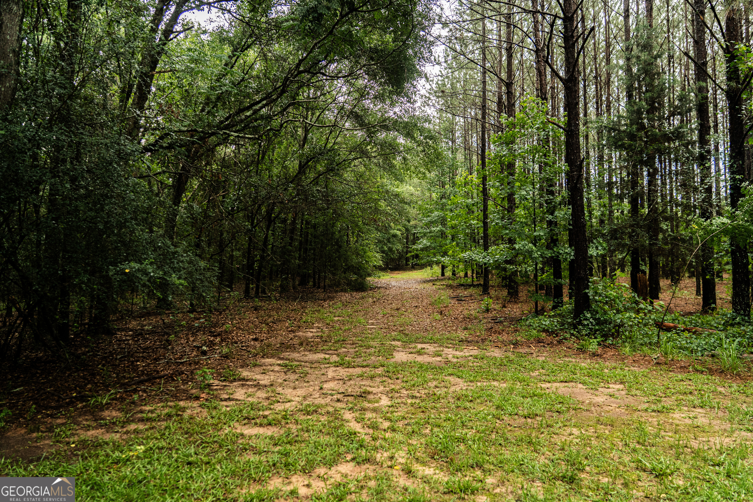 990 Highway 49 Americus, GA 31719 - Photo 58 of 121