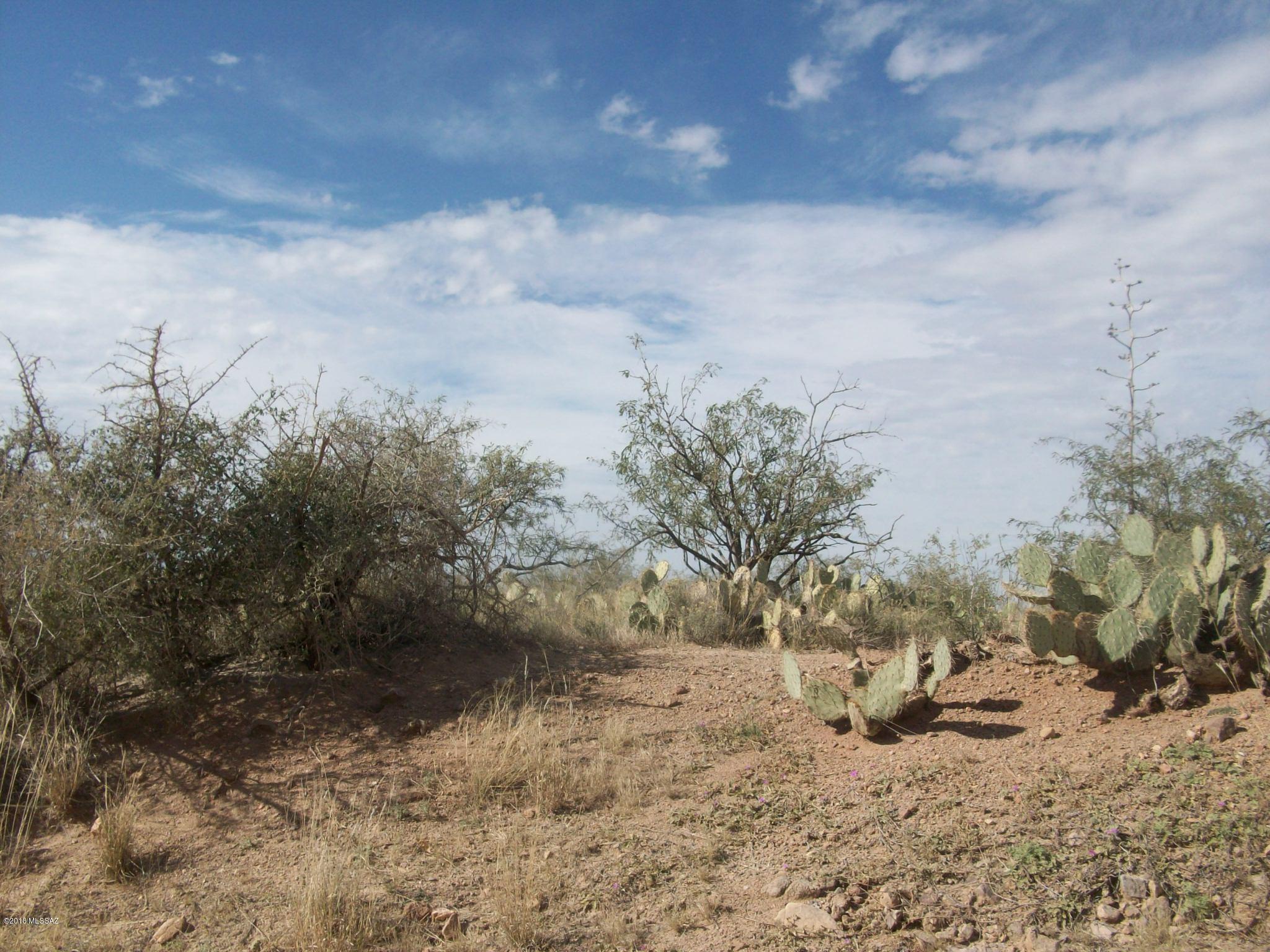 21944 South Helvetia Road Sahuarita, AZ 85629 - Photo 2 of 5