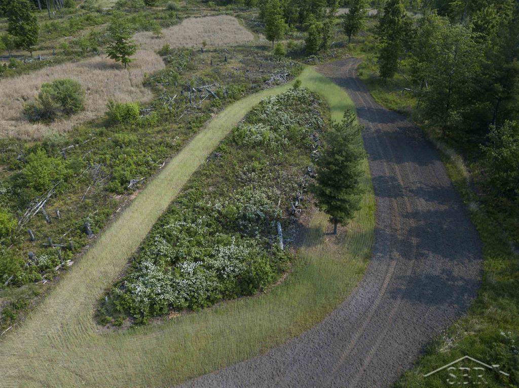 66-acres North Geneva Road Coleman, MI 48618 - Photo 10 of 44 50112001-9.JPG