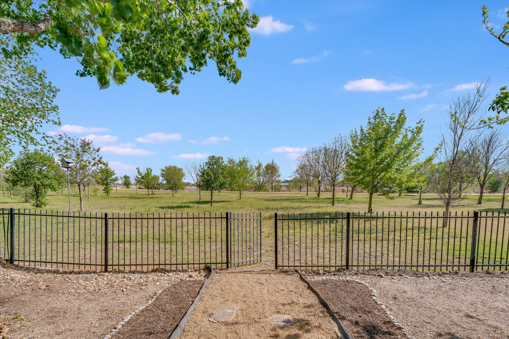 4029 Lake Edge Way Pflugerville, TX 78660 - Photo 23 of 35 View of yard
