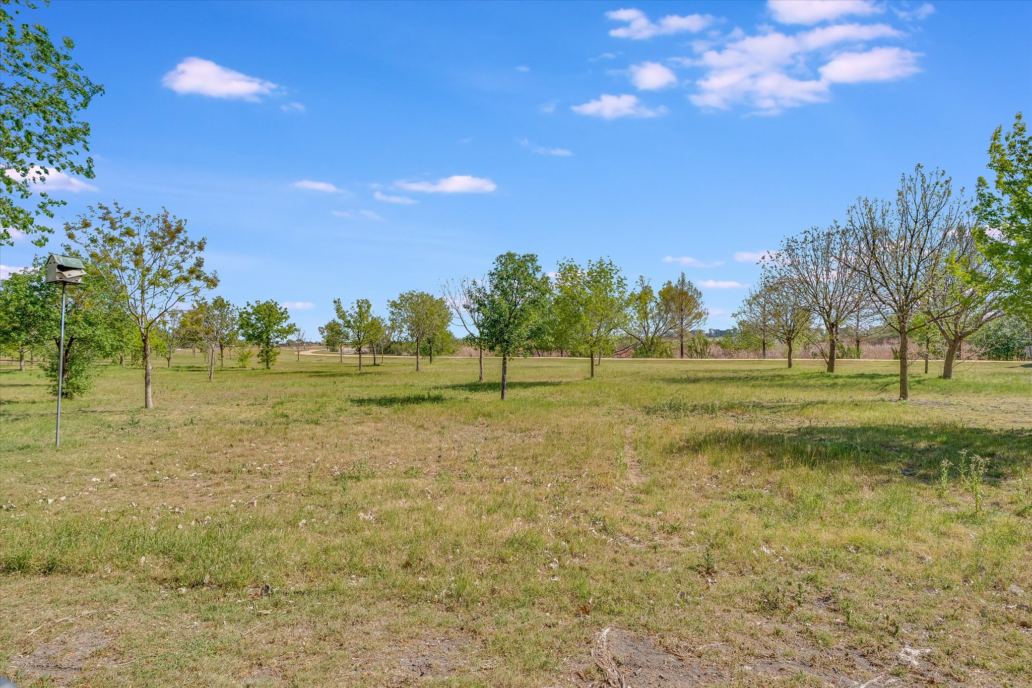 4029 Lake Edge Way Pflugerville, TX 78660 - Photo 24 of 35 View of yard with a rural view