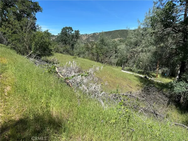 $10,000 | 12939 Hill Clearlake Ca, Clearlake, CA 95422