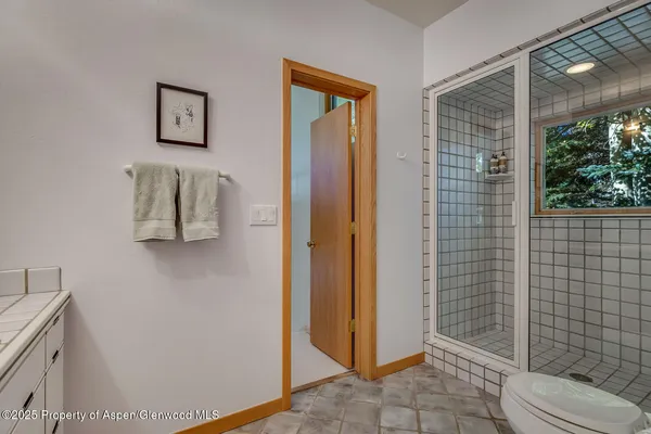 a bathroom with a shower and toilet