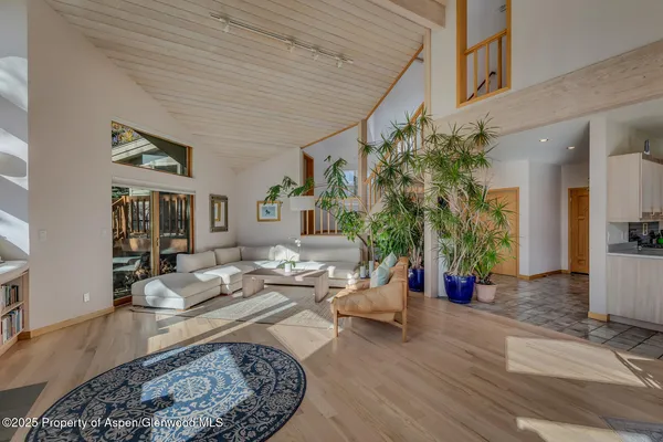 a living room with furniture and a potted plant