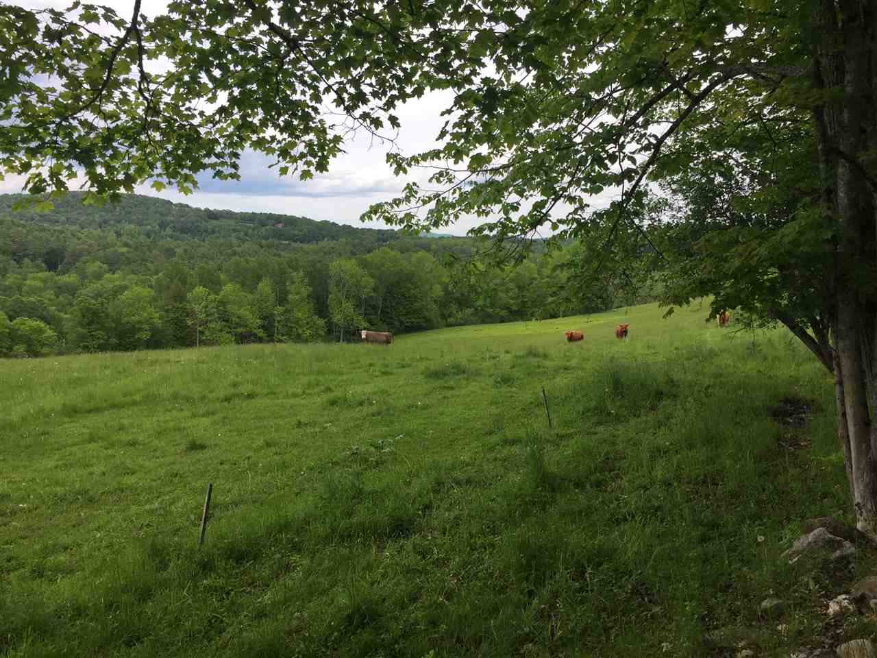 0 Brigham Hill Road Norwich, VT 05055 - Photo 5 of 6 Gallery Image 5