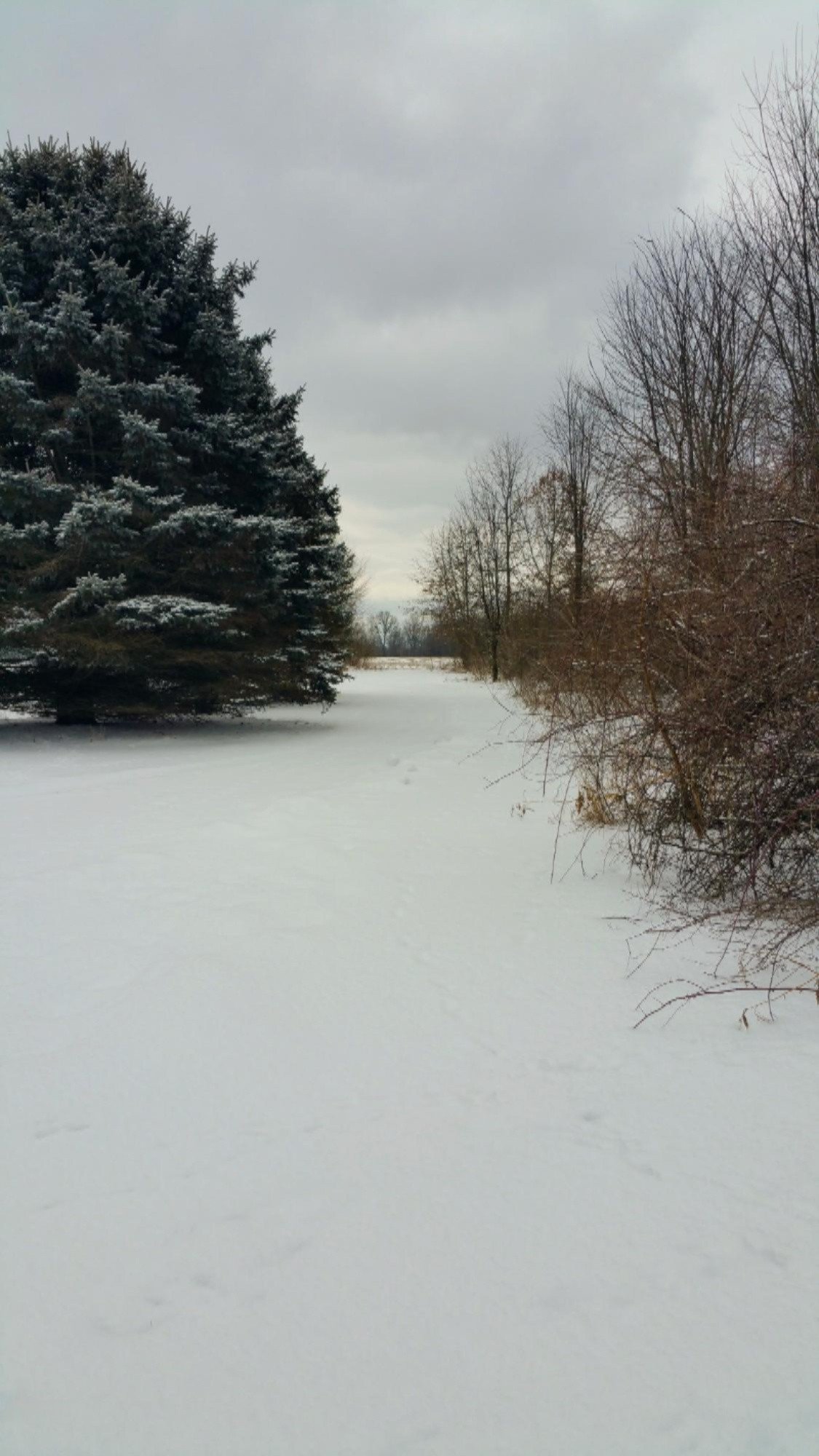 728 Miller Road Plainwell, MI 49080 - Photo 3 of 46 20190228_101244