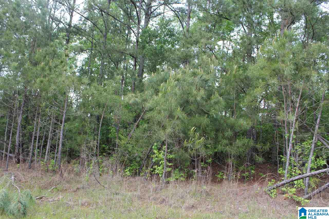 0 County Road 38 Jemison, AL 35085 - Photo 2 of 13
