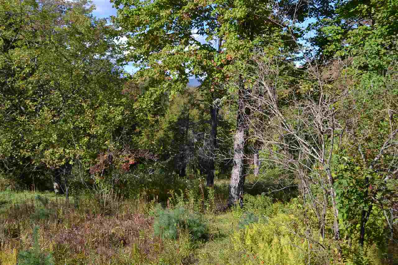 398 McCullough Hill Road Middlesex, VT 05602 - Photo 3 of 14