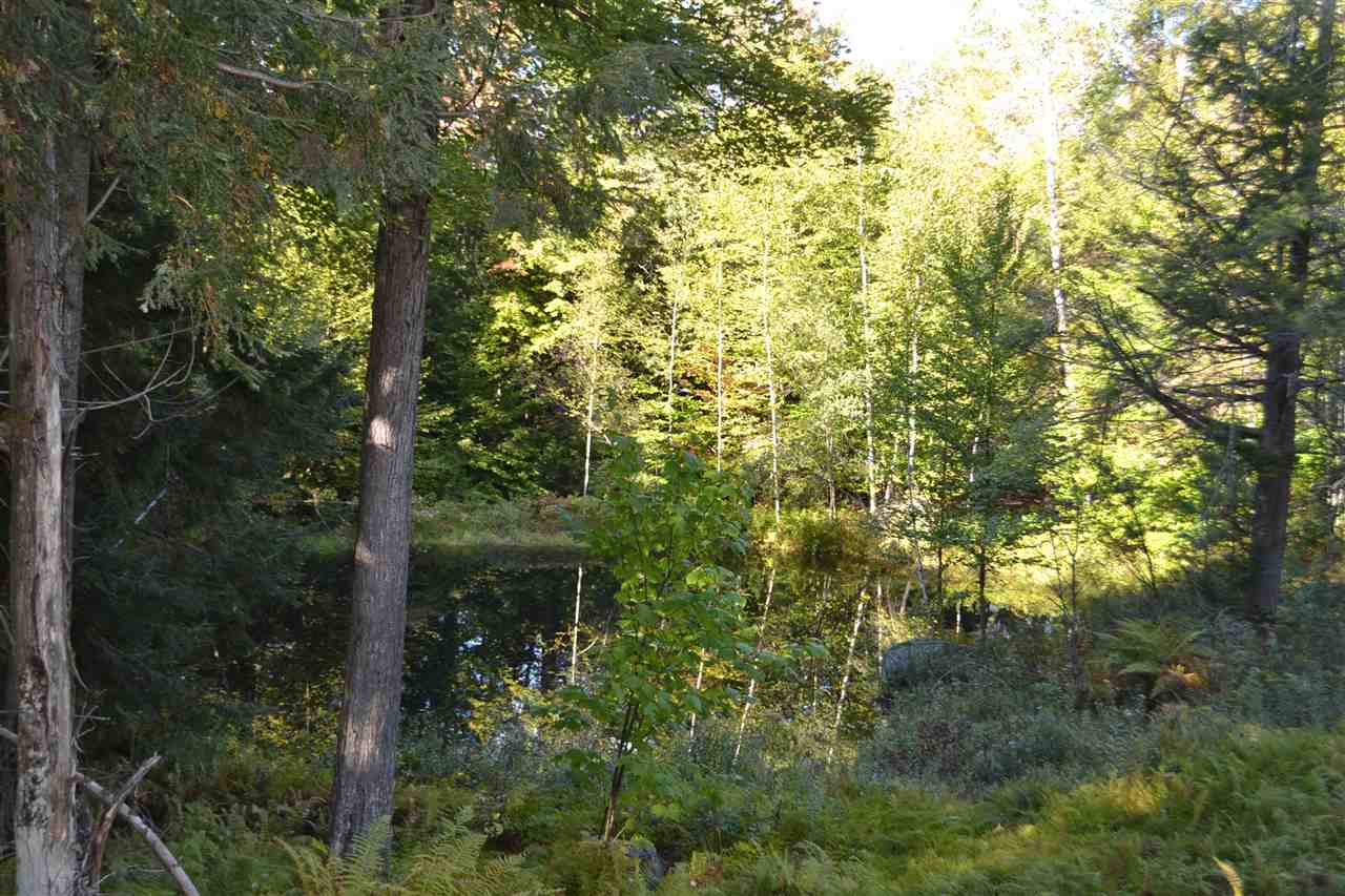 398 McCullough Hill Road Middlesex, VT 05602 - Photo 4 of 14