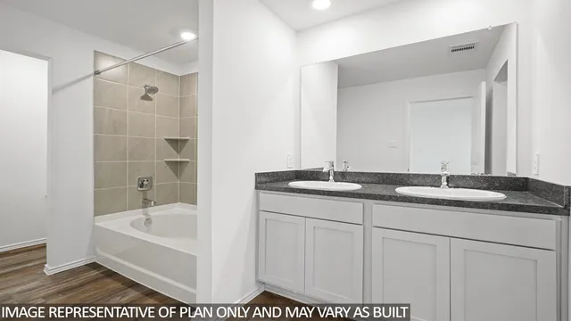 a bathroom with a sink and a bathtub
