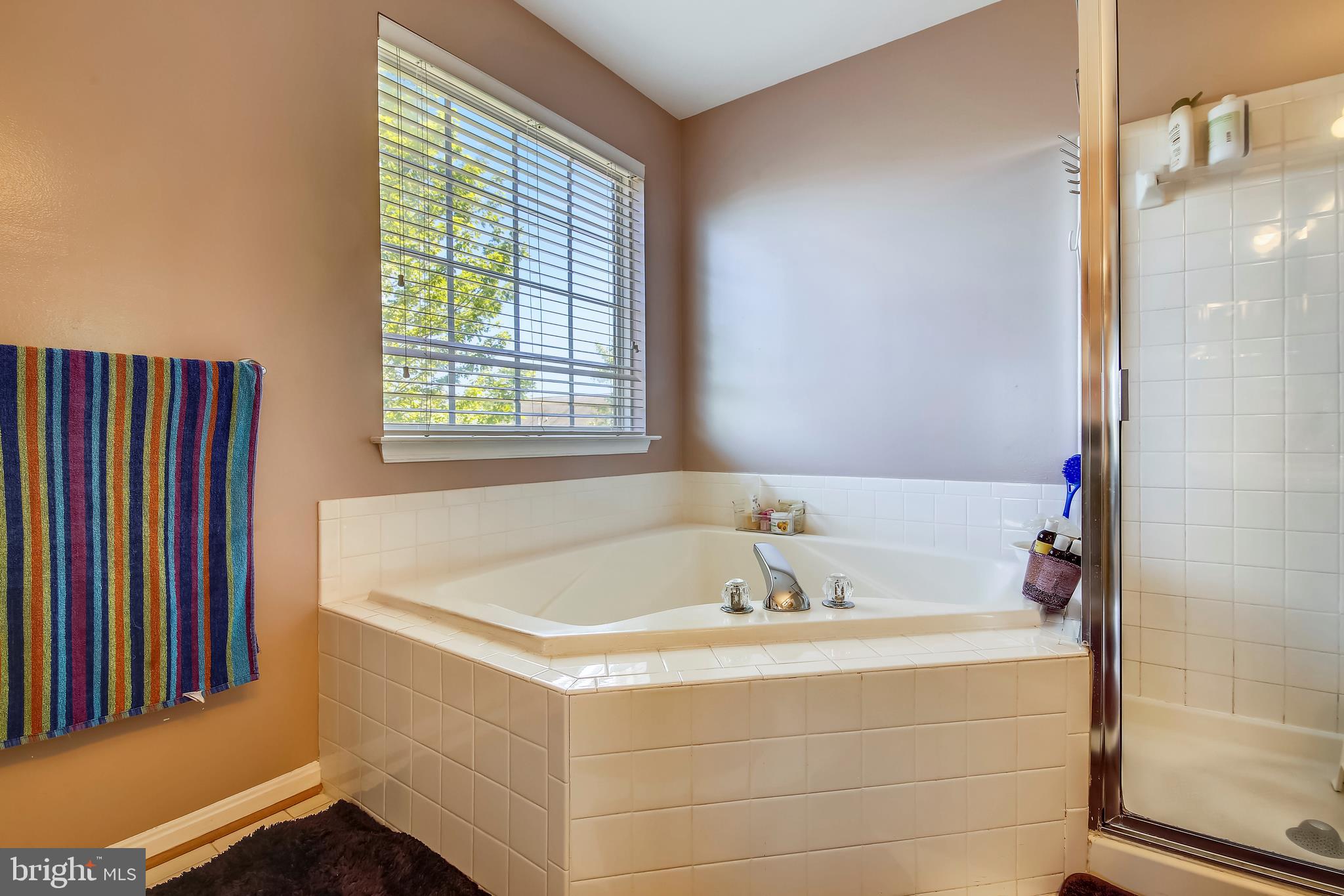 18123 Coachmans Road Germantown, MD 20874 - Photo 30 of 46 Master bath with soaking tub and separate shower