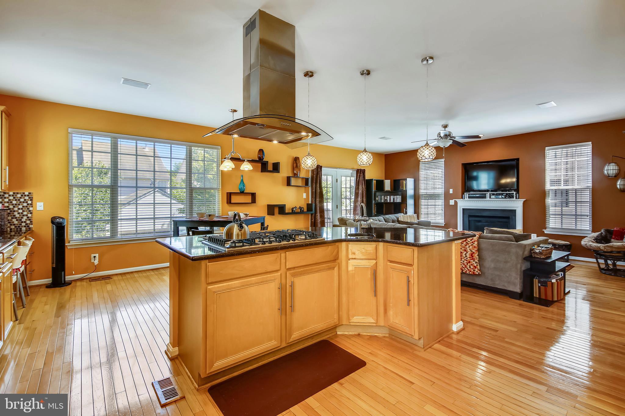 18123 Coachmans Road Germantown, MD 20874 - Photo 4 of 46 Gallery Image 4
