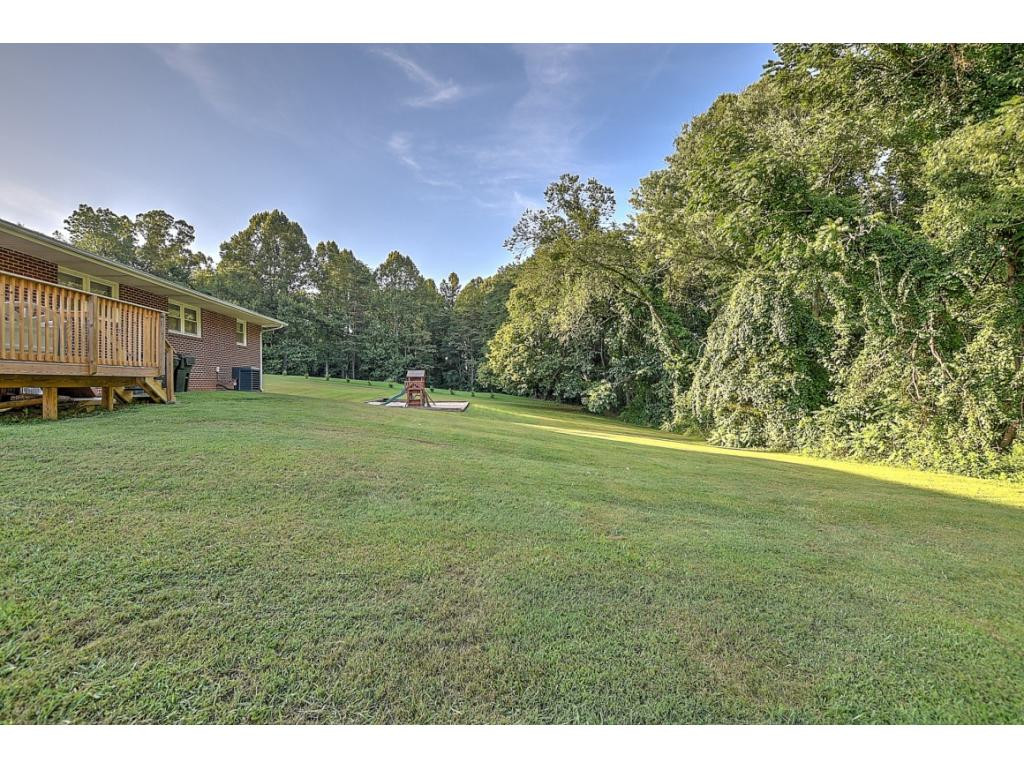145 Barnes Street Fall Branch, TN 37656 - Photo 26 of 31 Photo 28