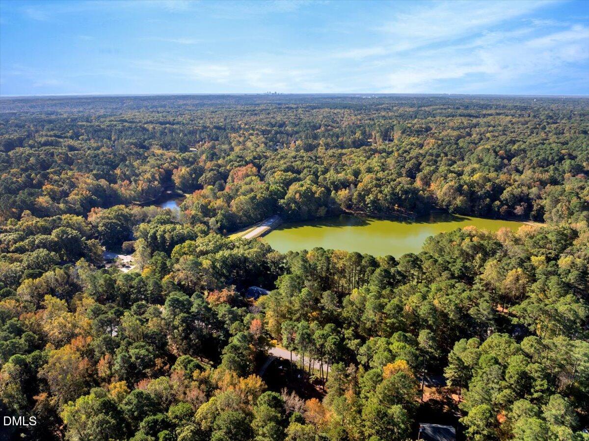 11808 Edgewater Court Raleigh, NC 27614 - Photo 4 of 56 04-DJI_20251021102959_0597_D
