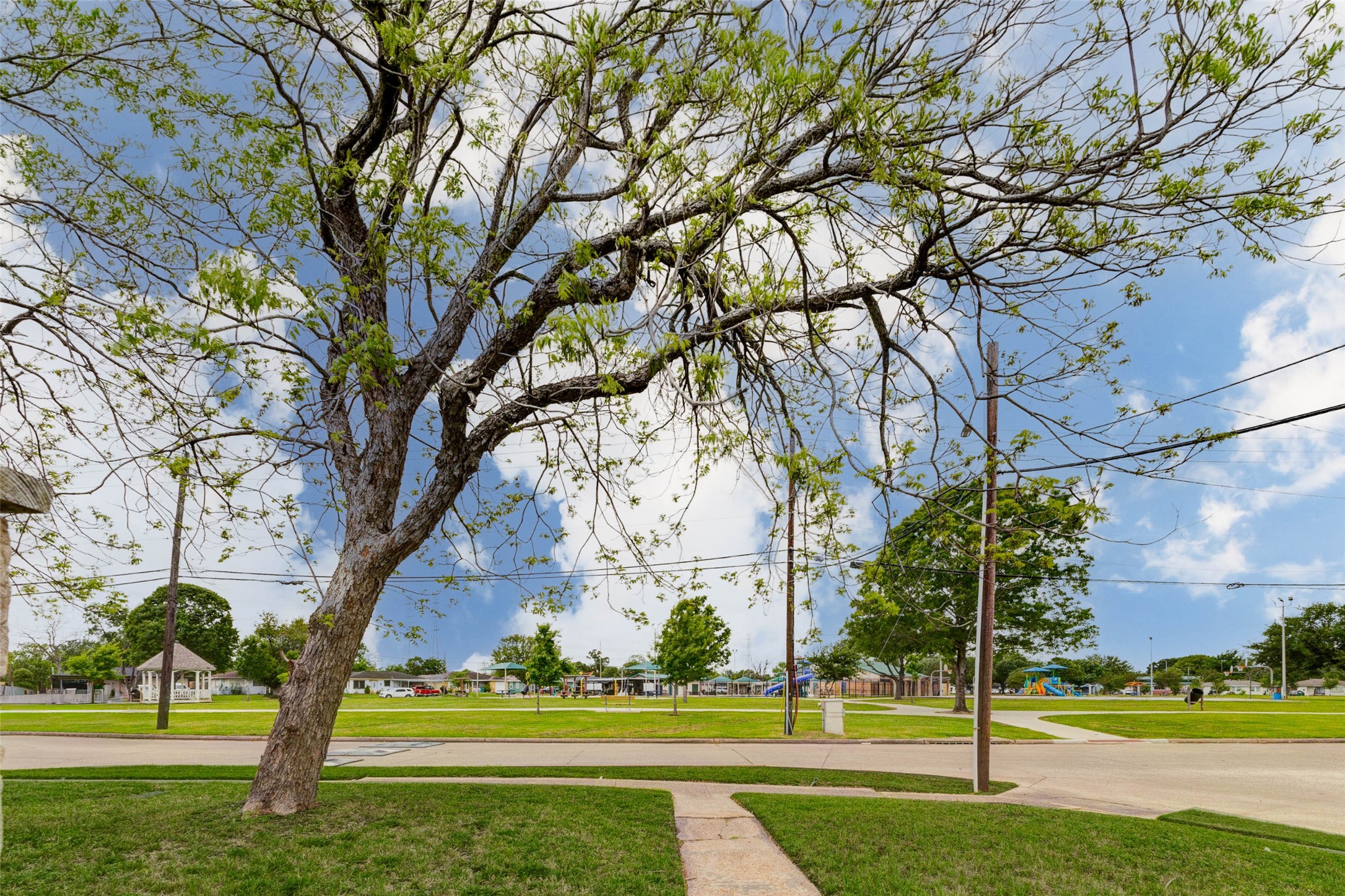 411 Burke Road Pasadena, TX 77506 - Photo 24 of 24 a view of a yard with plants and a large tree