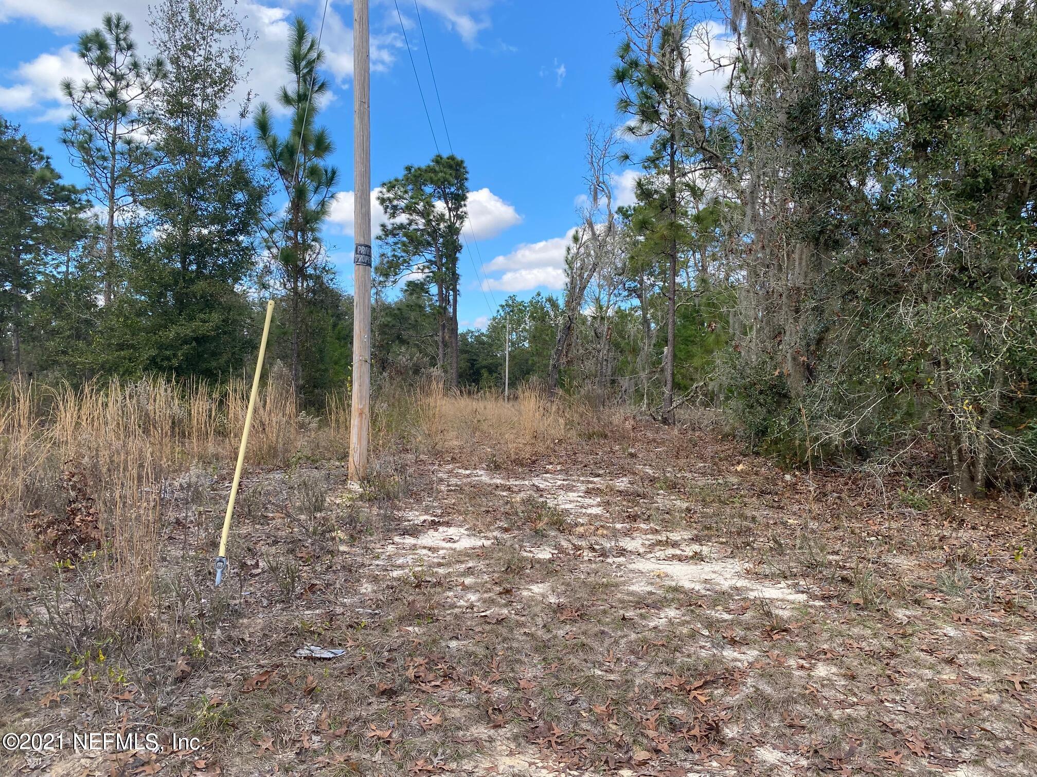 0 Mc Call Road Interlachen, FL 32148 - Photo 1 of 10 IMG_8637