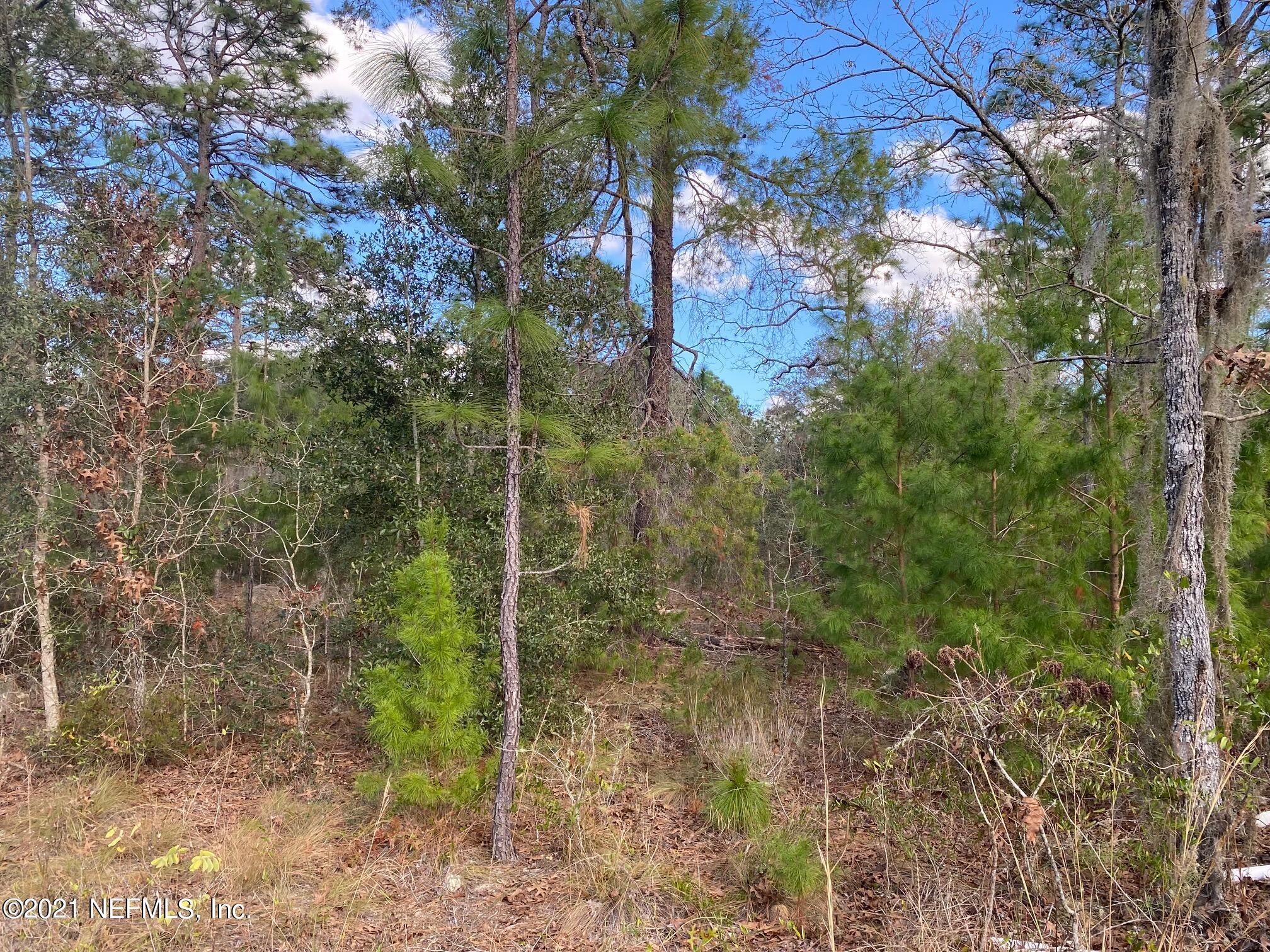 0 Mc Call Road Interlachen, FL 32148 - Photo 5 of 10 IMG_8634