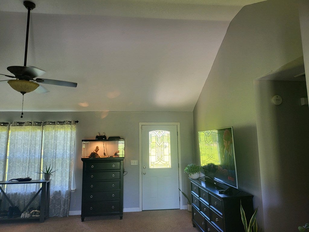 2015 Luke Road Ray City, GA 31645 - Photo 5 of 15 Gallery Image 5