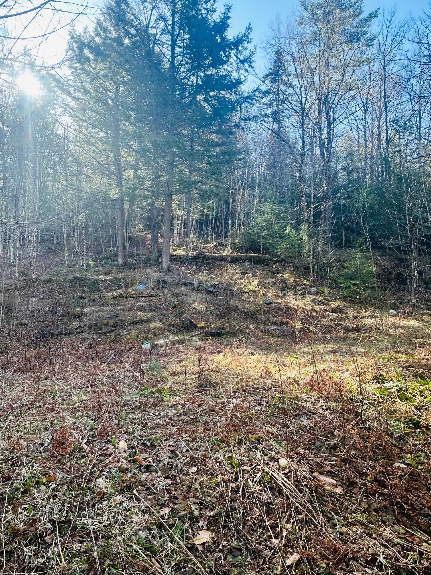 0 Hunter Brook Road Brattleboro, VT 05301 - Photo 2 of 7
