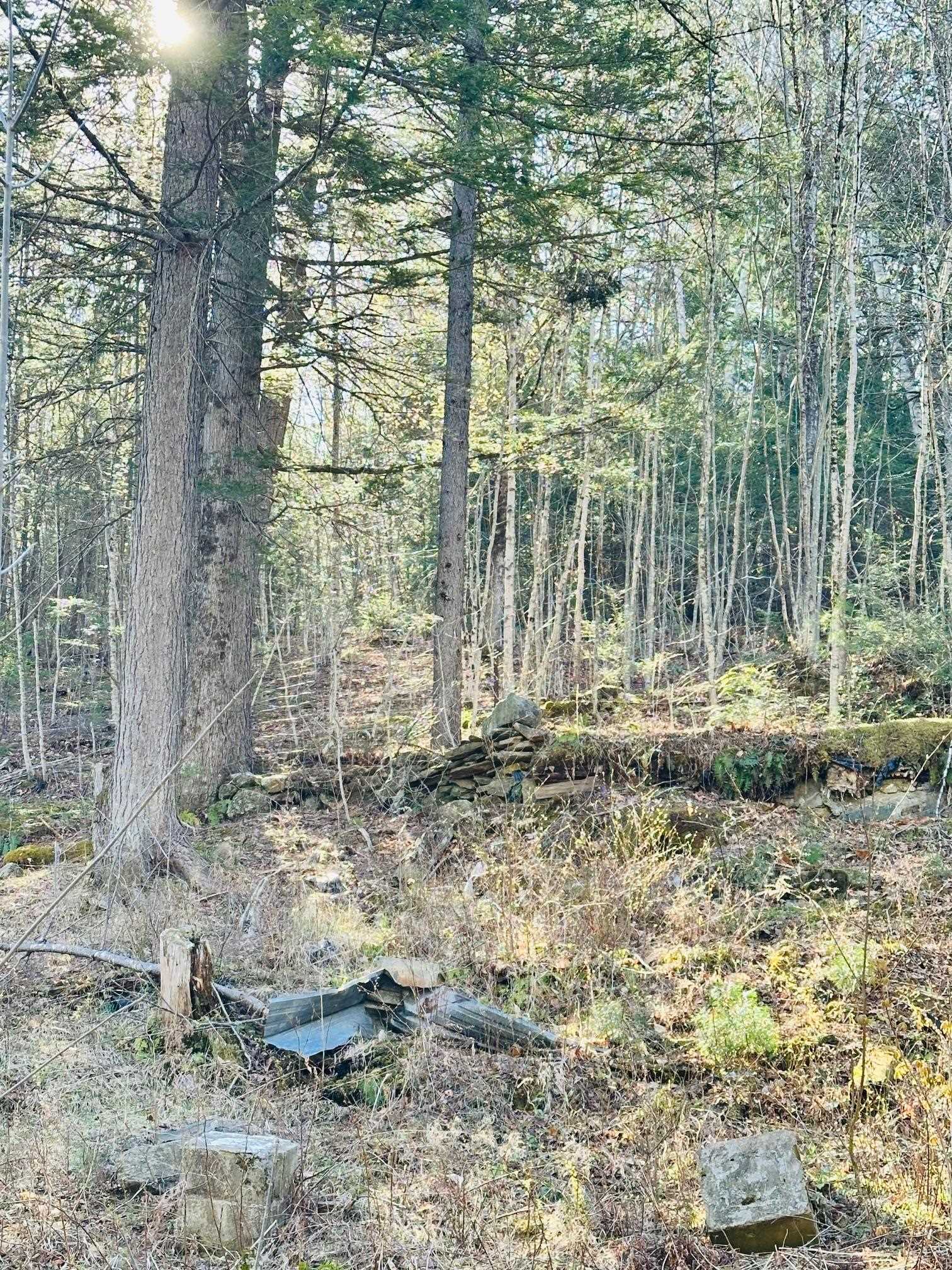 0 Hunter Brook Road Brattleboro, VT 05301 - Photo 4 of 7