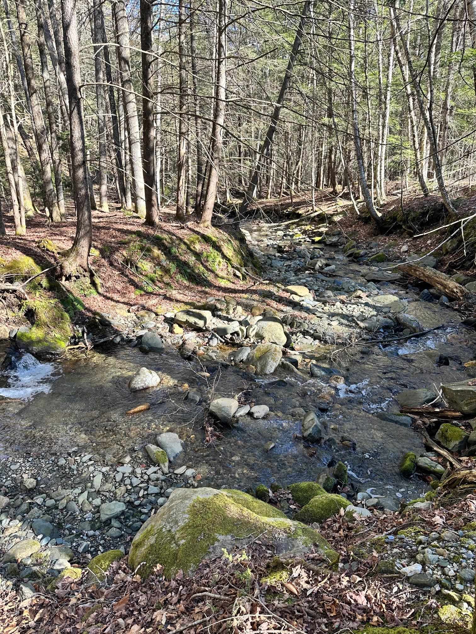 0 Hunter Brook Road Brattleboro, VT 05301 - Photo 7 of 7