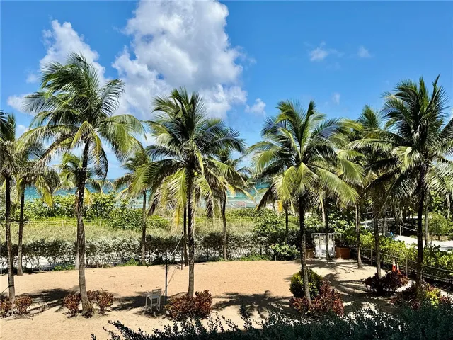 a view of a yard with a tree