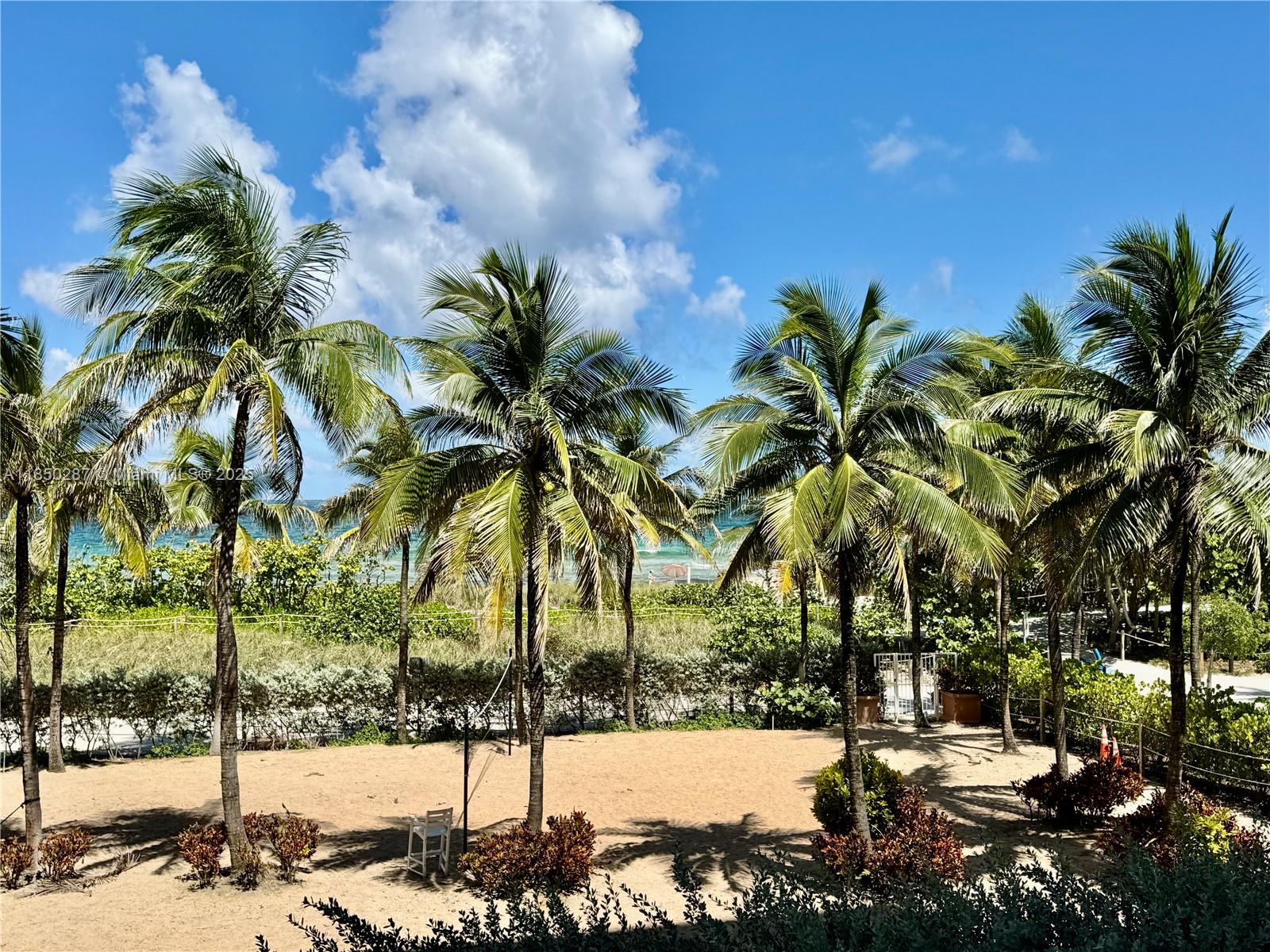 9201 Collins Avenue, Unit 323 Surfside, FL 33154 - Photo 2 of 46 a view of a yard with a tree