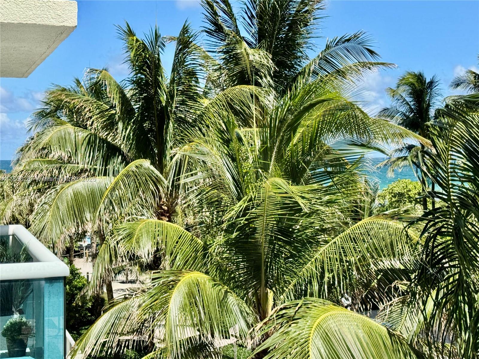 9201 Collins Avenue, Unit 323 Surfside, FL 33154 - Photo 38 of 46 a view of a yard