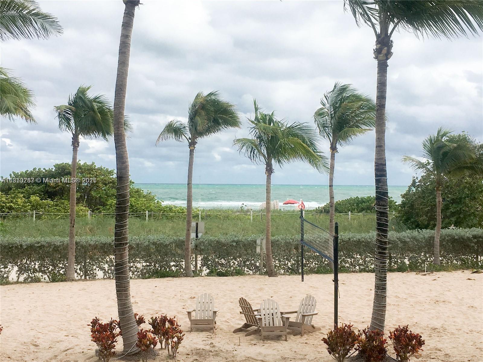 9201 Collins Avenue, Unit 323 Surfside, FL 33154 - Photo 10 of 46 a view of ocean with a palm tree