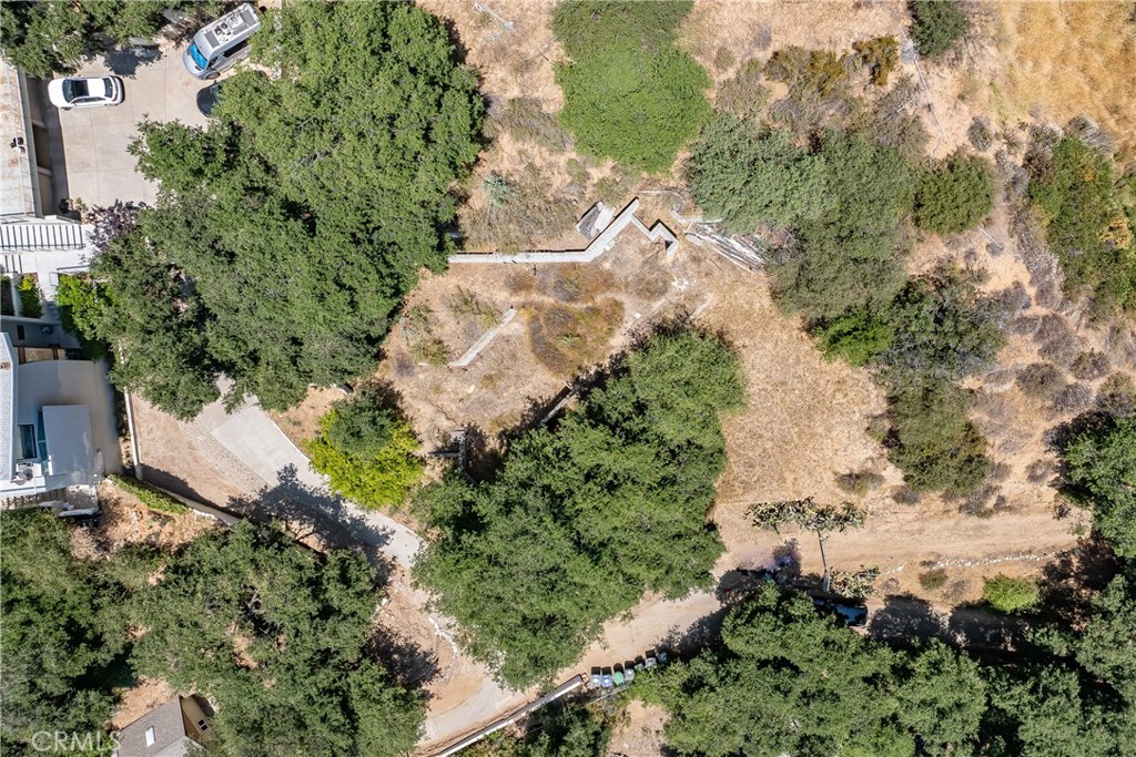 3577 Shaw Ranch Road Pasadena, CA 91107 - Photo 16 of 24 a plant that is in a garden