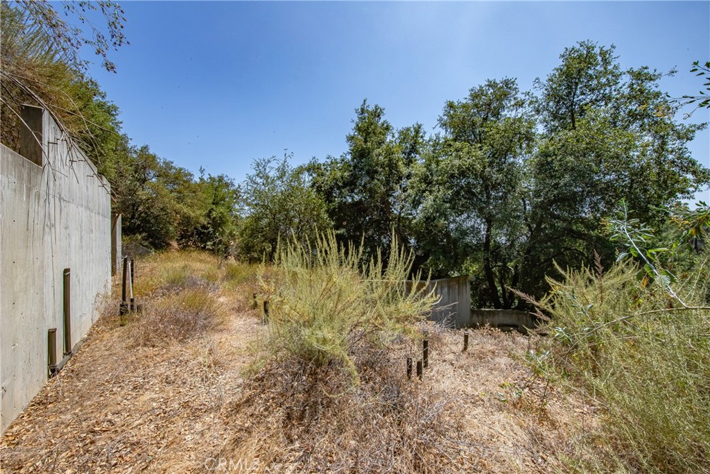 3577 Shaw Ranch Road Pasadena, CA 91107 - Photo 21 of 24 a backyard of a house with lots of green space
