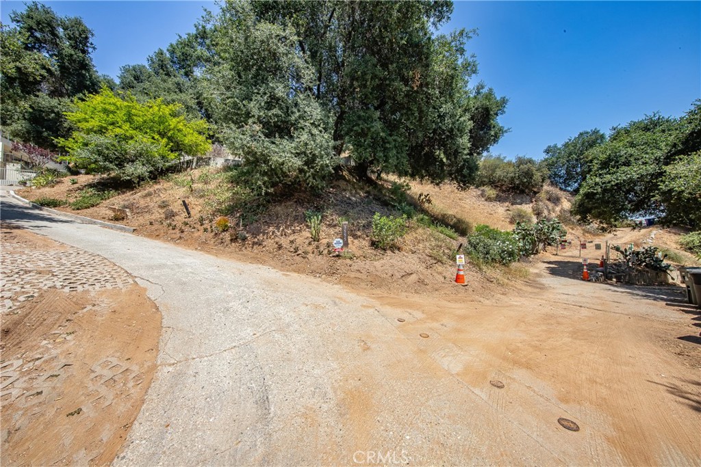 3577 Shaw Ranch Road Pasadena, CA 91107 - Photo 22 of 24 a view of a yard with plants and trees