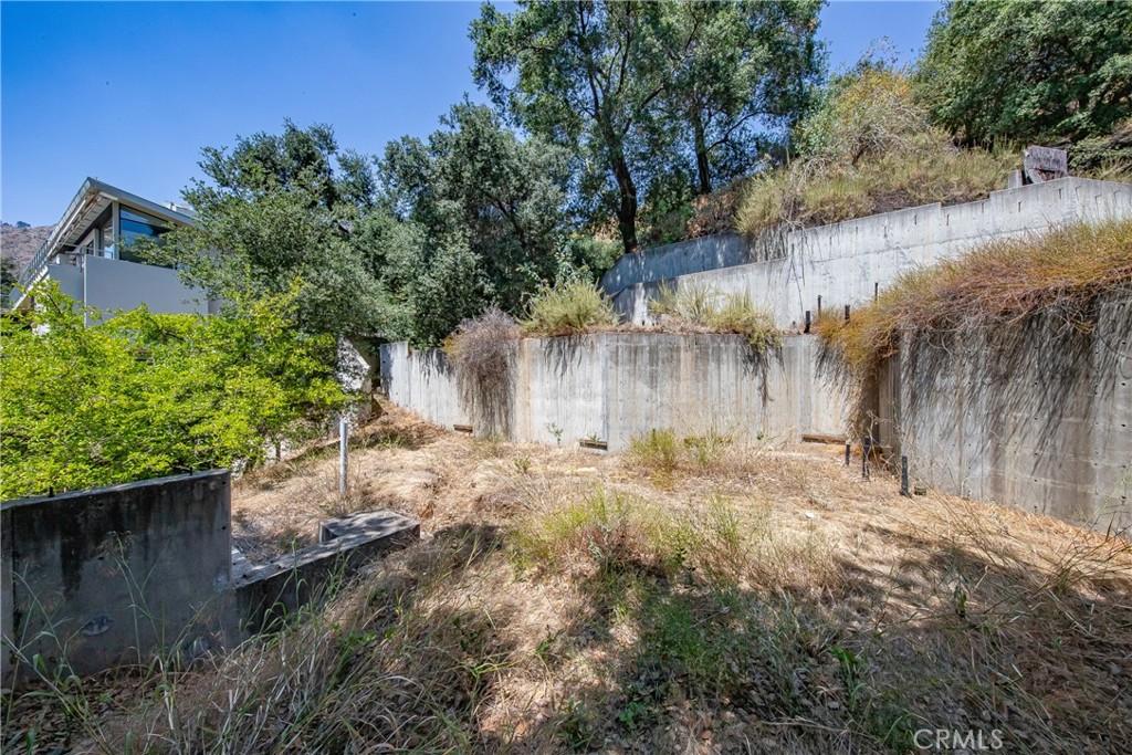 3577 Shaw Ranch Road Pasadena, CA 91107 - Photo 3 of 24 a view of a yard with plants and a large tree