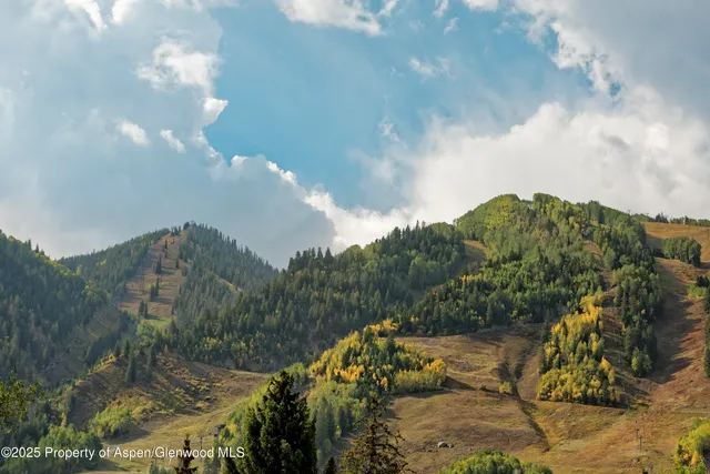 $300,000 | 219 North Monarch Street, Aspen, CO 81611