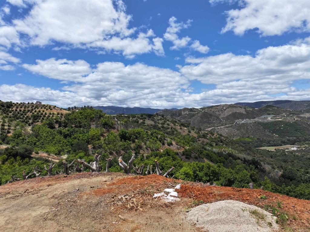 45761 Camaron Road Temecula, CA 92590 - Photo 16 of 52 Gallery Image 16