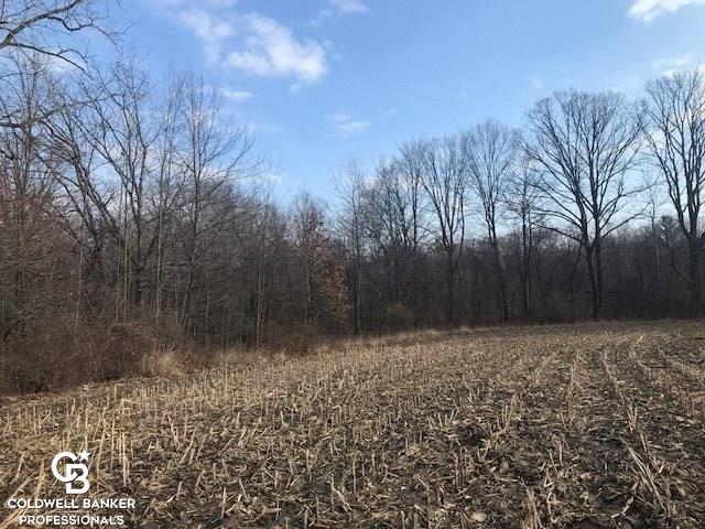 V/l Ravenswood Parcel, Unit 2 Goodells, MI 48027 - Photo 2 of 5