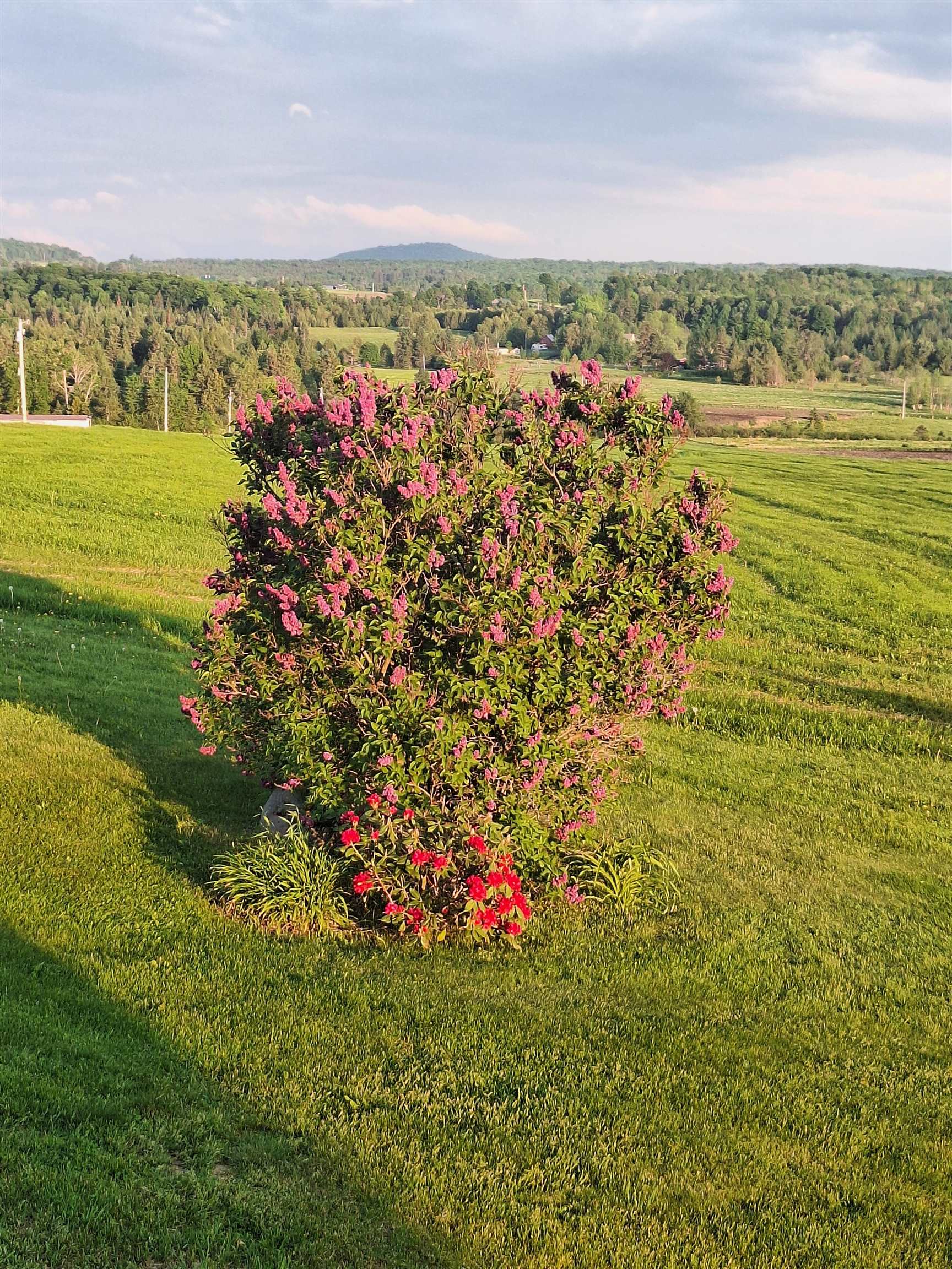 294 Lyon Road Derby Line, VT 05830 - Photo 47 of 52
